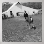 Te Ya Poster (Voorkant)