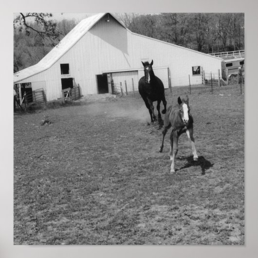 Te Ya Poster (Voorkant)