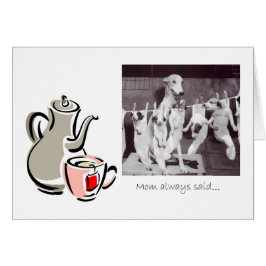 Tea-advies van een Greyhound mama