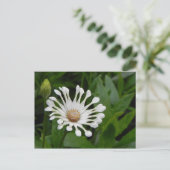 Tea Cup Daisey Post Card Briefkaart (Staand voorkant)
