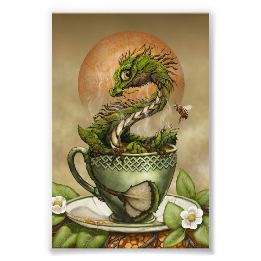 Tea Dragon 4x6 Afdrukken Foto Afdruk (Voorkant)