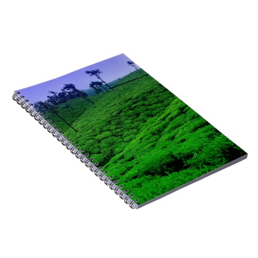 Tea plantage notitieboek (Rechterzijde)