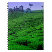 Tea plantage notitieboek (Voorkant)