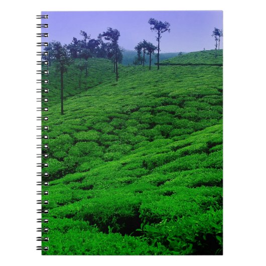 Tea plantage notitieboek (Voorkant)