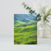 Tea plantages briefkaart (Staand voorkant)