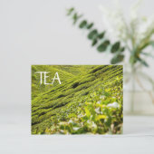 Tea Plantation Briefkaart (Staand voorkant)