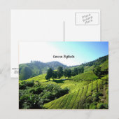 Tea Plantation, Cameron Highlands, Maleisië Briefkaart (Voorkant / Achterkant)