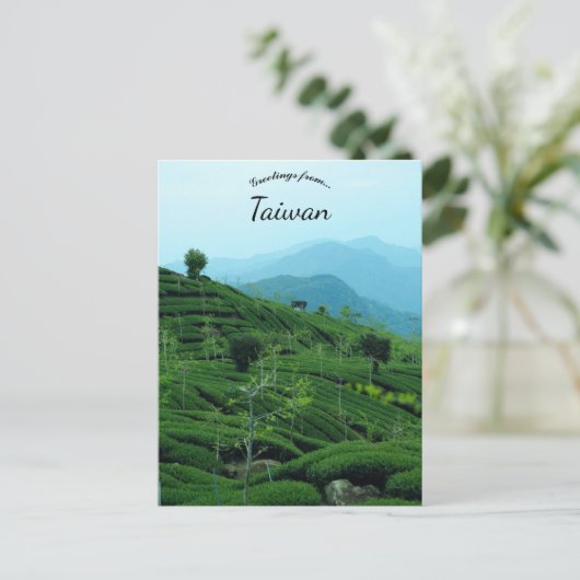 Tea Plantation in Taiwan Briefkaart (Staand voorkant)