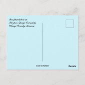 Tea Plantation in Taiwan Briefkaart (Achterkant)