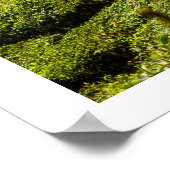 Tea Plantation Poster (Hoek)