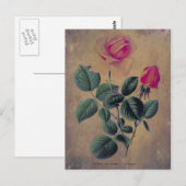 Tea Roos Grunge Briefkaart (Voorkant / Achterkant)