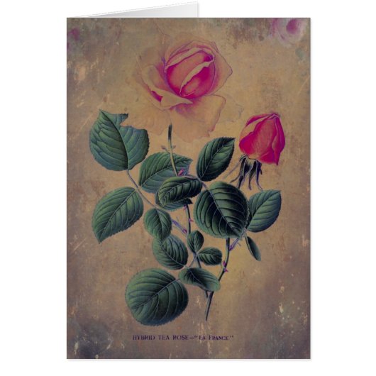 Tea Roos Grunge, Moederdag (Voorkant)