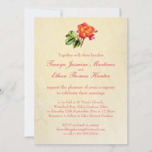 Tea roos oranje uitnodiging voor het huwelijk (Achterkant)