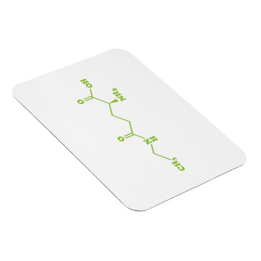 Tea Theanine Molecular Chemical Formula Magneet (Rechterzijde)