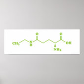 Tea Theanine Molecular Chemical Formula Poster (Voorkant)