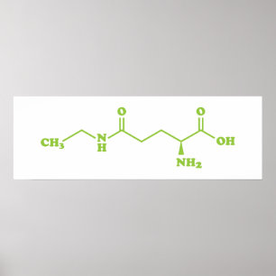 Tea Theanine Molecular Chemical Formula Poster