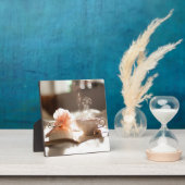 Tea Time met een goed boek Fotoplaat (Insitu)