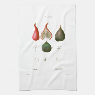 TEA TOWEL : BOTANISCH : REDOUTÉ : FIGS THEEDOEK