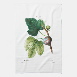 TEA TOWEL : REDOUTÉ : FIGS THEEDOEK