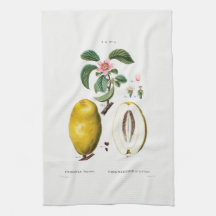 TEA TOWEL : REDOUTÉ : QUINCE