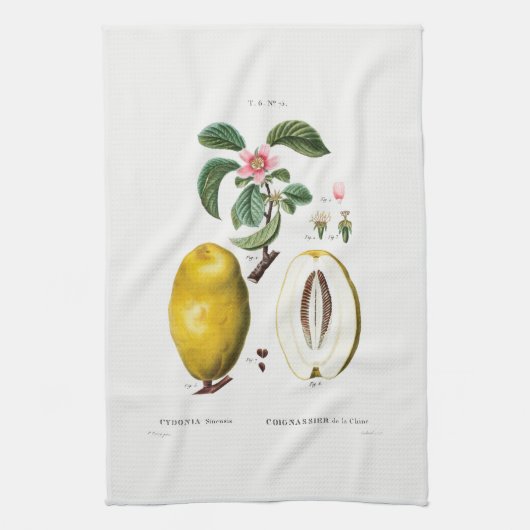TEA TOWEL : REDOUTÉ : QUINCE THEEDOEK (Verticaal)