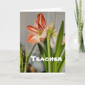 **TEACHER** BIJ EENVOUDIGERE KAART (Voorkant)