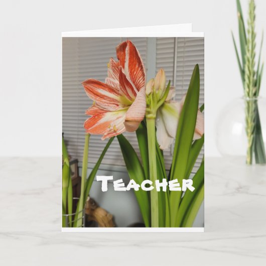 **TEACHER** BIJ EENVOUDIGERE KAART (Voorkant)