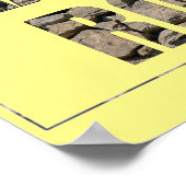 Teachers Rock Poster (Hoek)