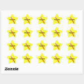 Teacher's Star met Pencil Award Stickers (Vel)
