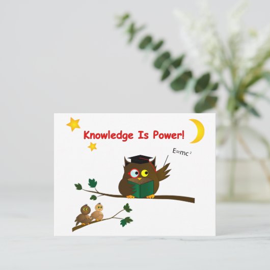 Teaching Wise Owl Briefkaart (Staand voorkant)