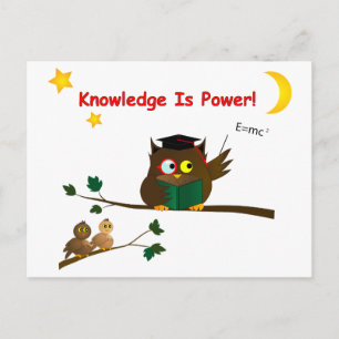Teaching Wise Owl Briefkaart