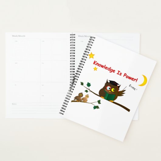 Teaching Wise Owl Planner (Display)