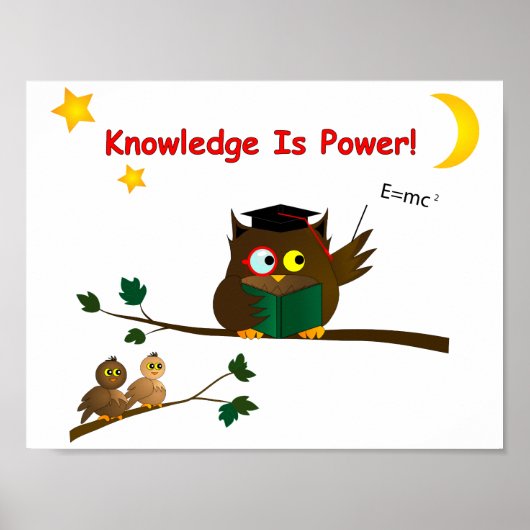 Teaching Wise Owl Poster (Voorkant)