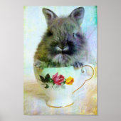 Teacup Bunny Poster (Voorkant)