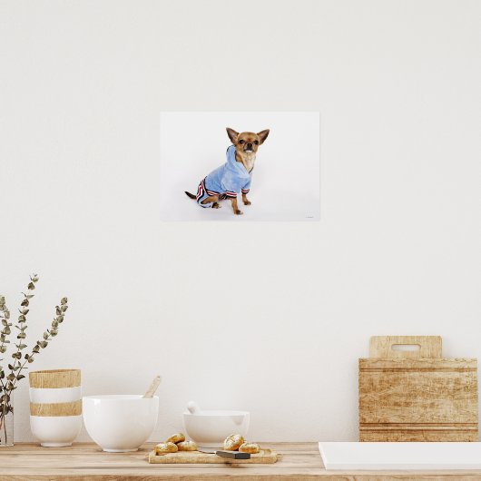 Teacup Chihuahua Poster (Keuken)