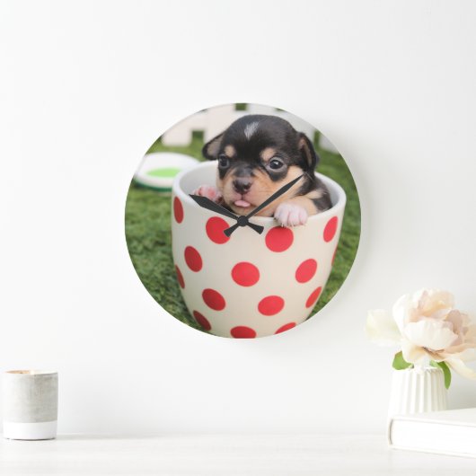 Teacup Chihuahua Puppy Grote Klok (Huis)