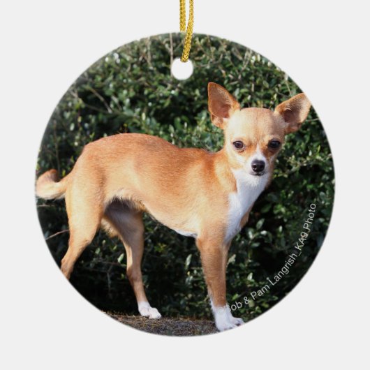 Teacup Chihuahua Puppy Keramisch Ornament (Voorkant)