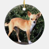 Teacup Chihuahua Puppy Keramisch Ornament (Achterkant)