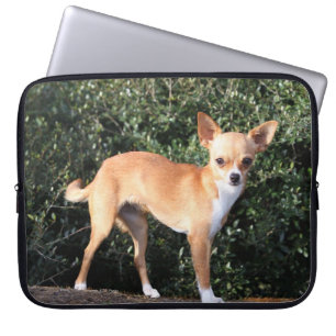Teacup Chihuahua Puppy Laptop Sleeve