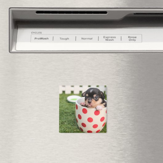 Teacup Chihuahua Puppy Magneet (Insitu (Vaatwasser))