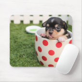 Teacup Chihuahua Puppy Muismat (Met muis)