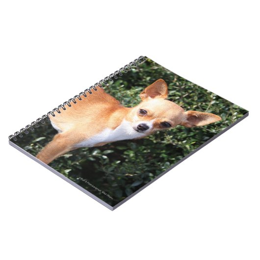 Teacup Chihuahua Puppy Notitieboek (Linkerzijde)