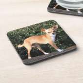 Teacup Chihuahua Puppy Onderzetter (Linkerzijde)