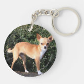 Teacup Chihuahua Puppy Sleutelhanger (Achterkant)