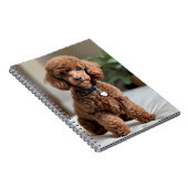 Teacup Poodle 2 Notitieboek (Rechterzijde)