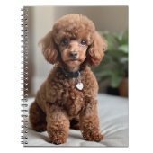 Teacup Poodle 2 Notitieboek (Voorkant)