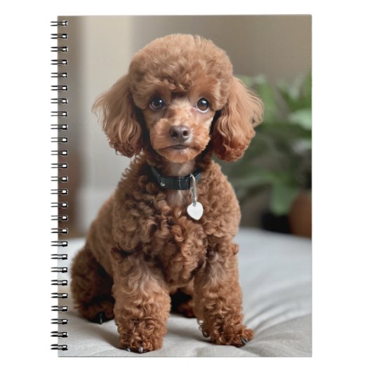 Teacup Poodle 2 Notitieboek (Voorkant)