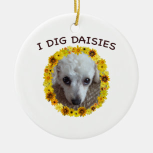 Teacup Poodle Dog Digs Daisies Keramisch Ornament