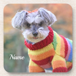 Teacup Schnauzer Puppy Dog in Sweater Bier Onderzetter