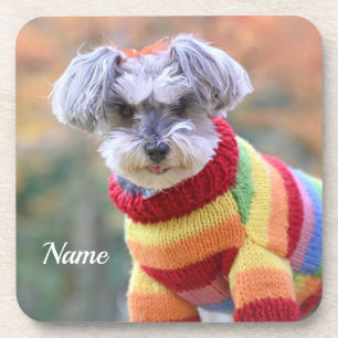 Teacup Schnauzer Puppy Dog in Sweater Bier Onderzetter